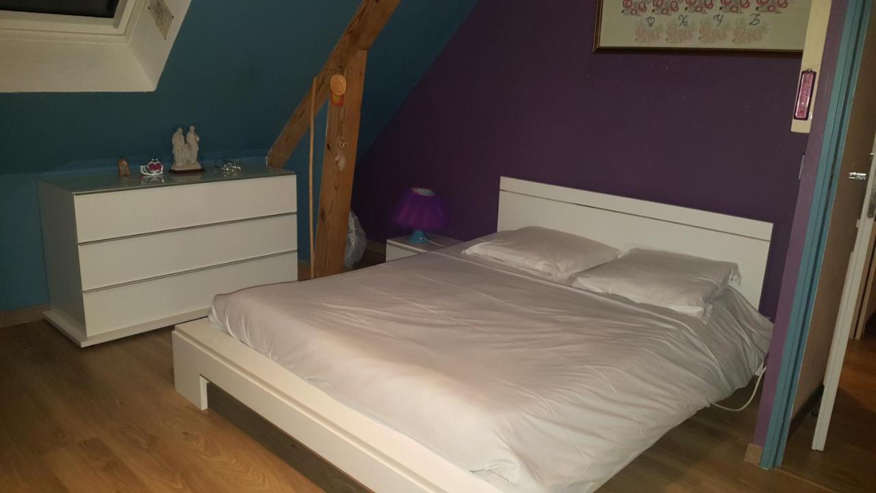 مونتلويس سور لوار Chambre D'Hotes Chez L'Habitant المظهر الخارجي الصورة